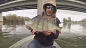 Winter Big Perch 2015